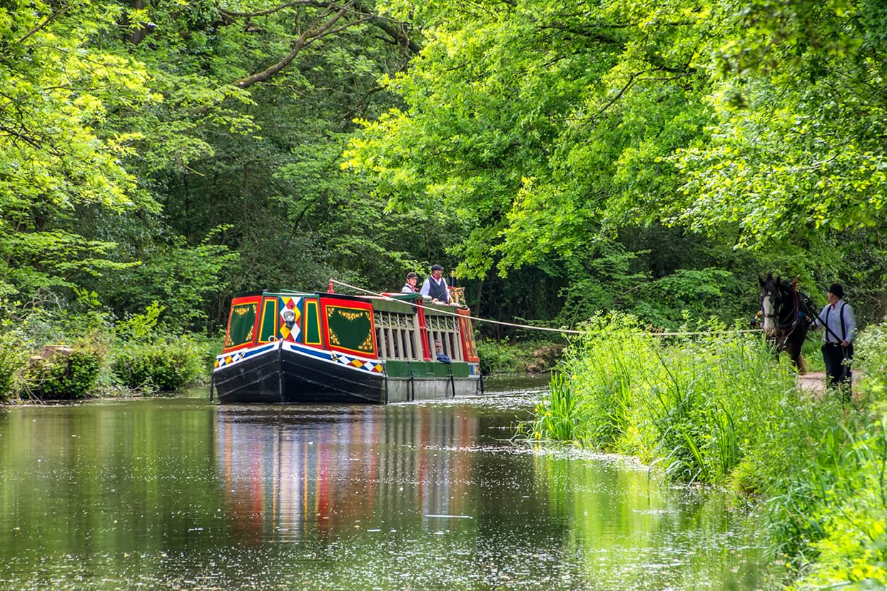 Cycling Holidays in Mid-Devon